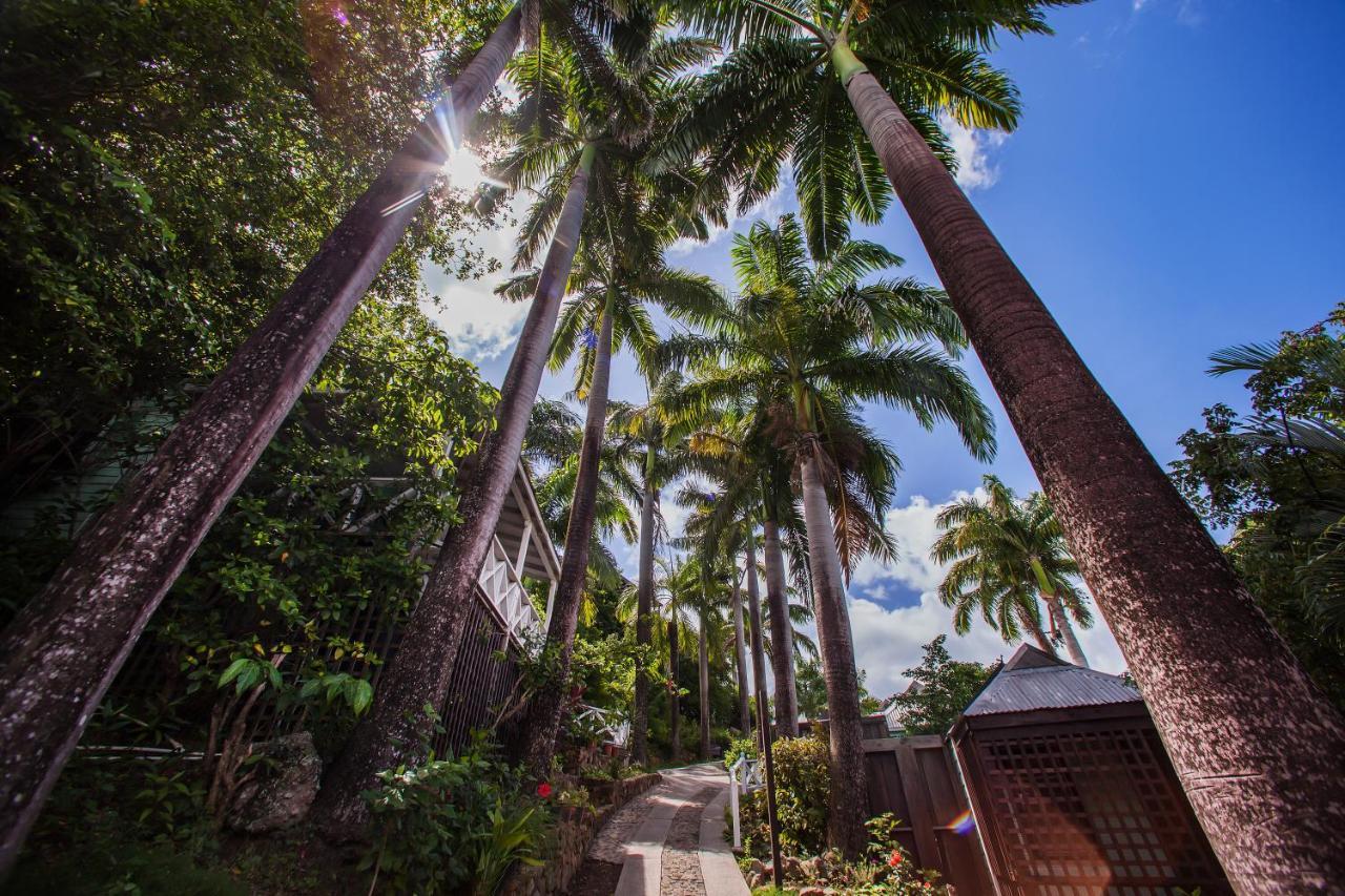 Cocos Antigua (adults Only) Bolands