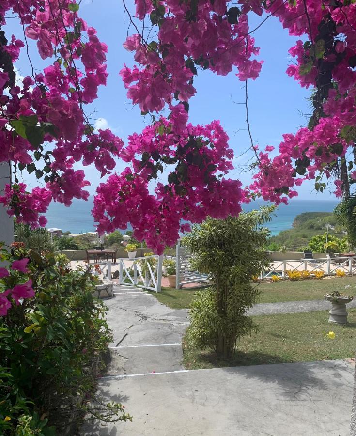 Cozy With At Walking Distance And Pool Dickenson Bay