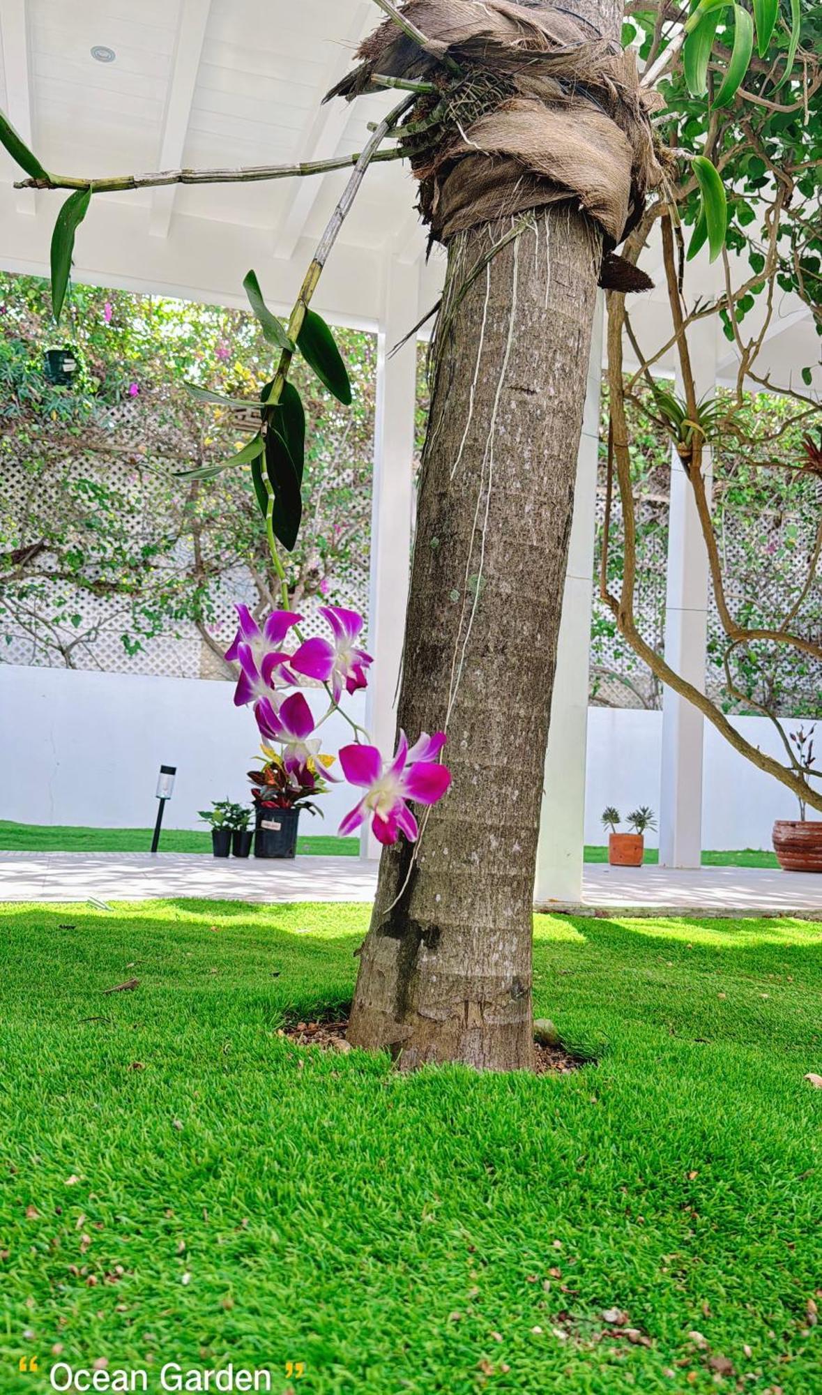 Ocean Garden I Villa Cedar Grove