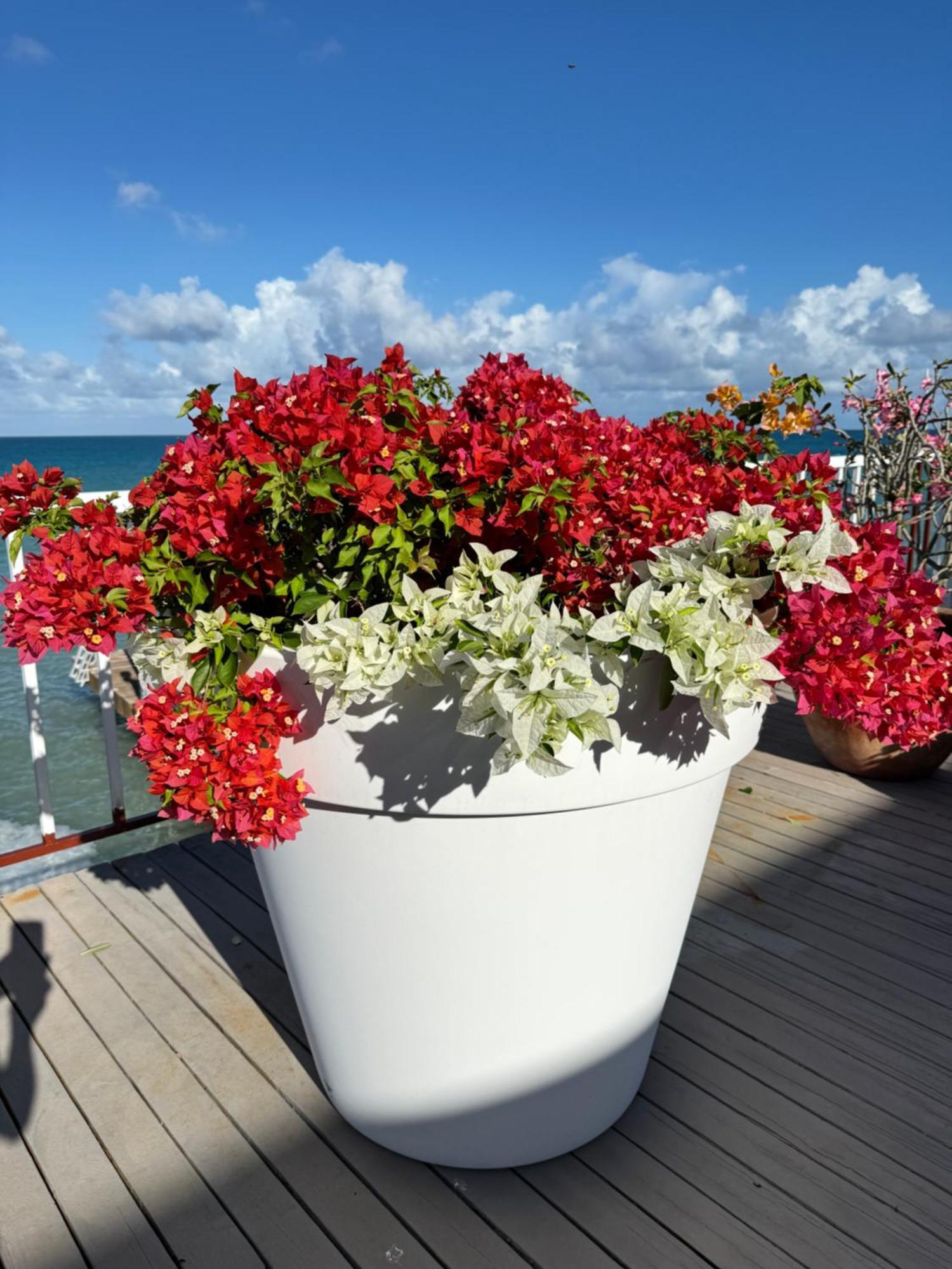 Villa Ocean Garden I