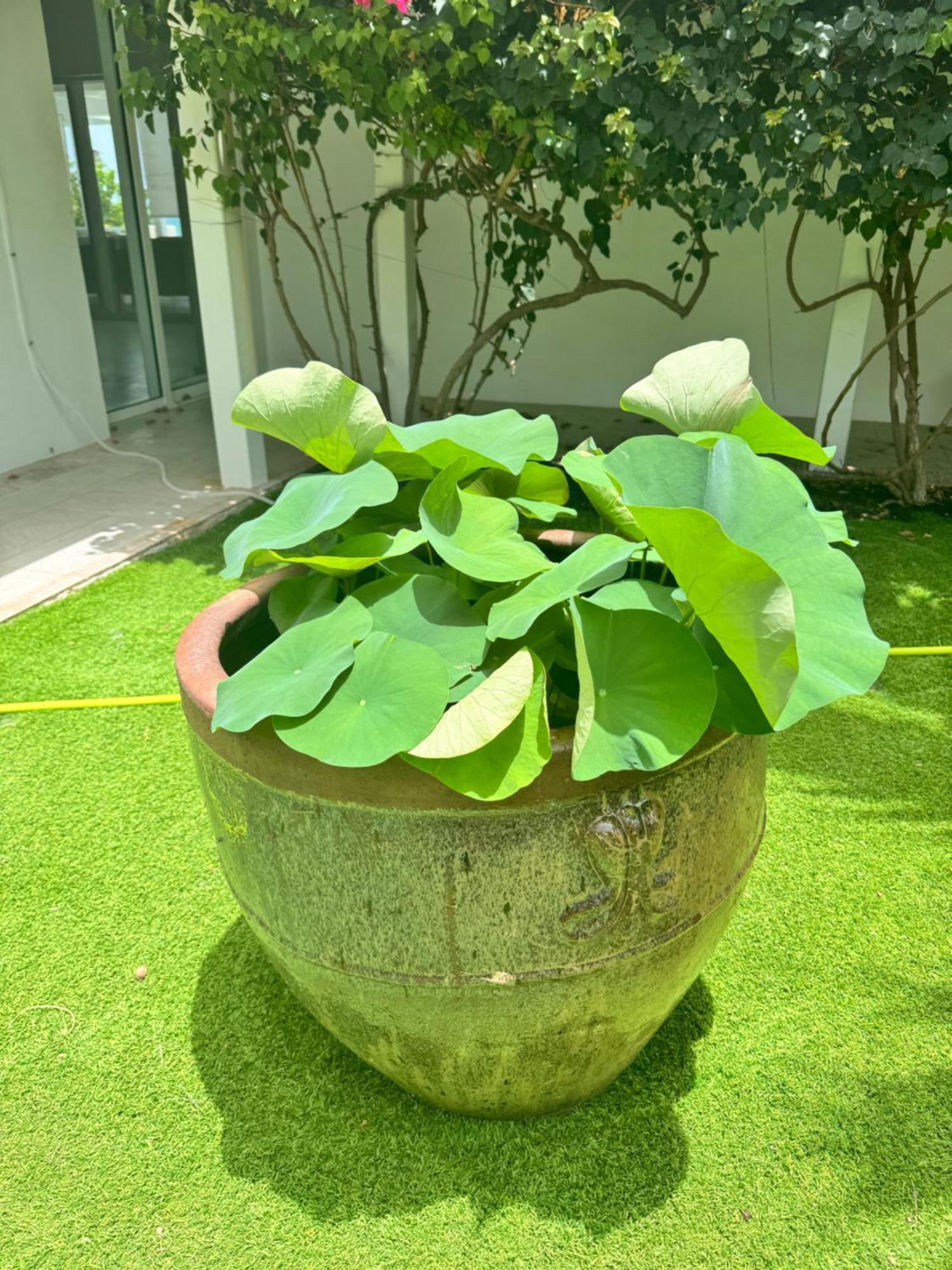 Ocean Garden I Villa