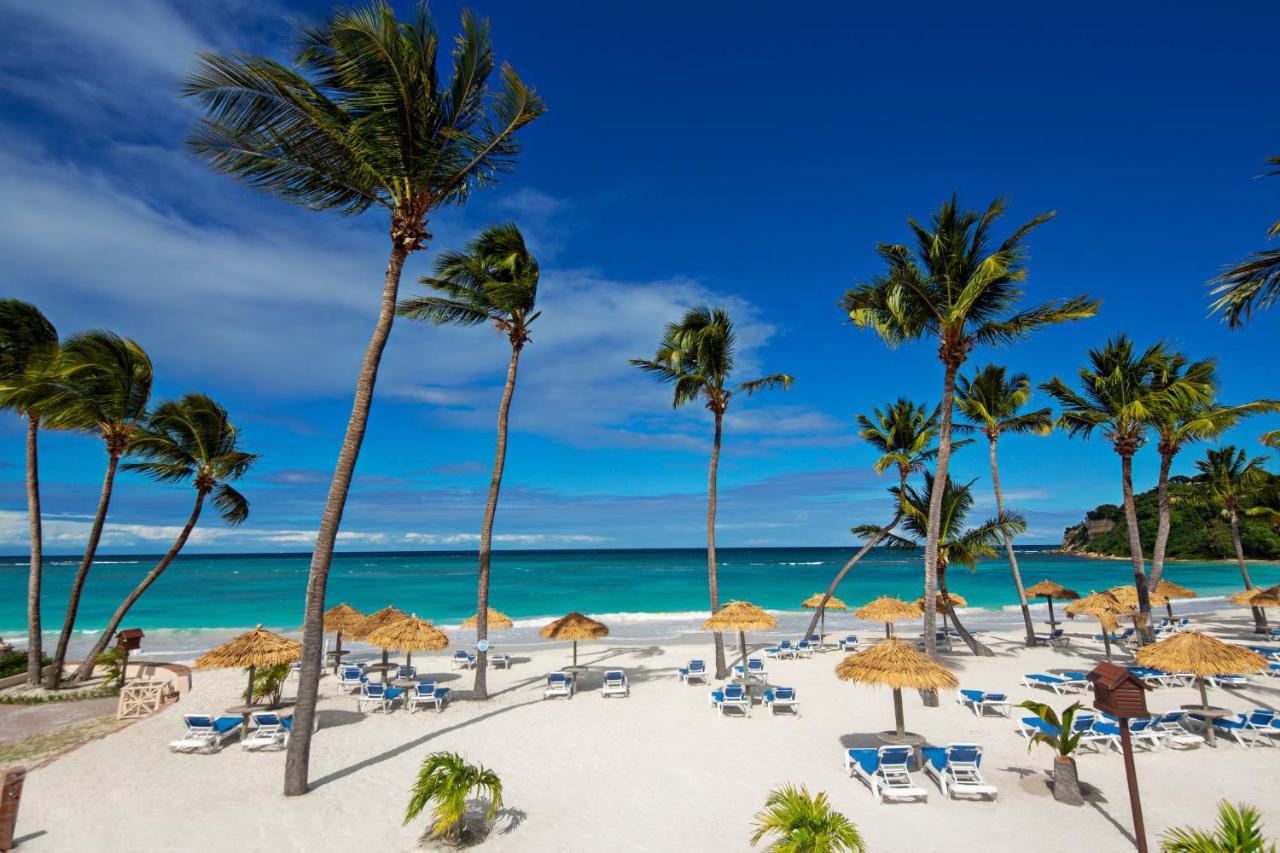 Resort Pineapple Club (adults Only)