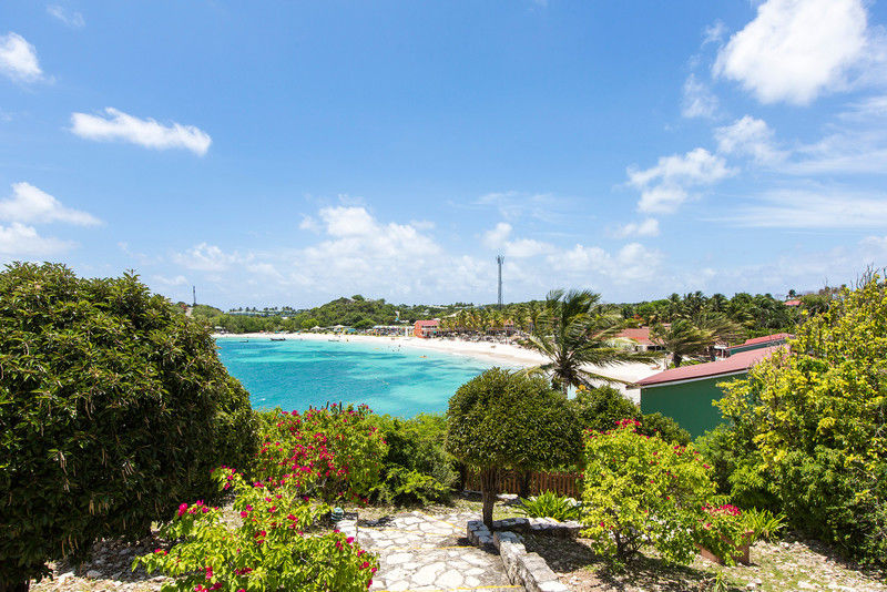 Pineapple Club (adults Only) 4* Long Bay