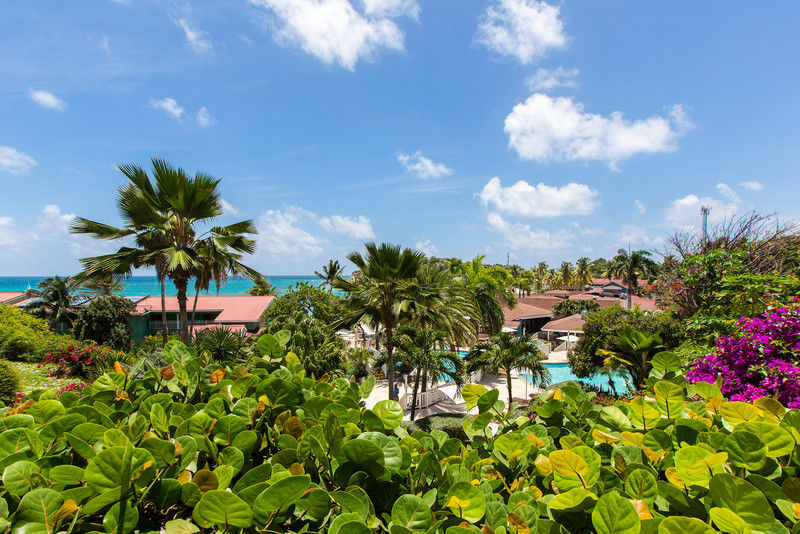 Resort Pineapple Club (adults Only)